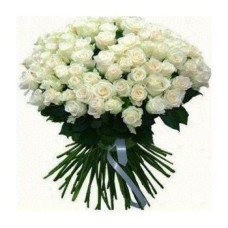 100 White Roses (Standard)