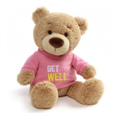 Get Well Soon Bear By Gund® - Pink