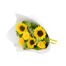 Sunflower Lovers