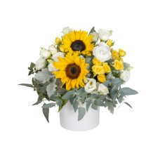 Sunflower Deluxe