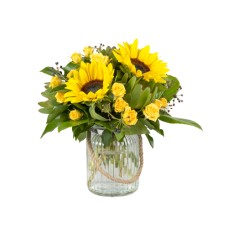 Spring Sunflowers