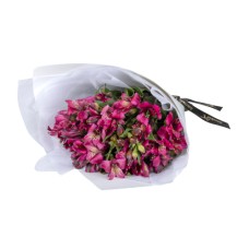Seasonal Alstroemerias