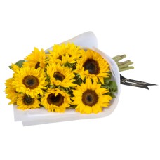 Sunflower Sunshine