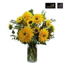 Van Gogh Sunflowers (Premium)