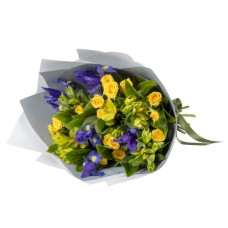Spring Iris (Premium)