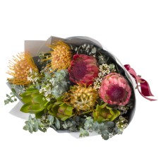 Winter Natives (Premium)