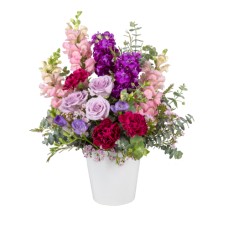 Spring Snapdragons (Premium)