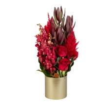 Leucadendron Lover (Standard)