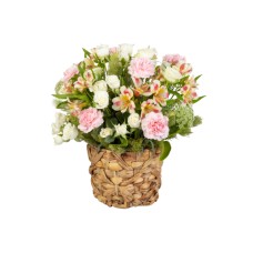 Delicate Carnations (Standard)