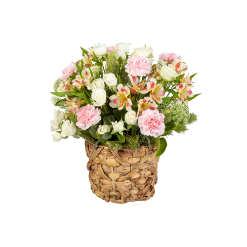 Delicate Carnations (Standard)