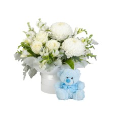 Newborn Baby Boy (Premium)
