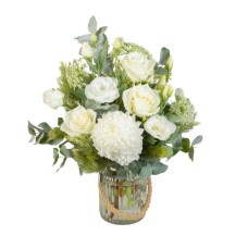 Classique Rose (Standard)