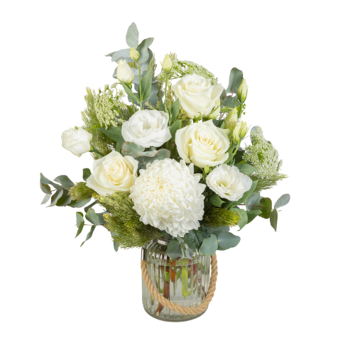 Classique Rose (Standard)