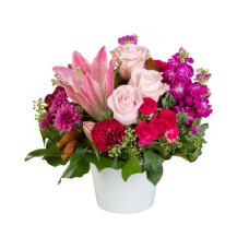 La Rose (Standard)