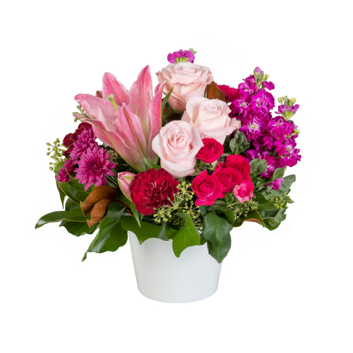 La Rose (Standard)