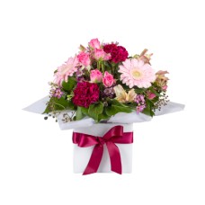 Sweet Pink Delight
