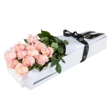 Romantic Roses in Pink