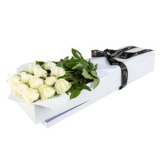 Romantic Roses in White