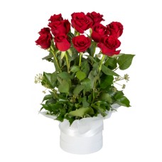 Rose Lover