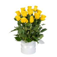 Rose Lover in Yellow