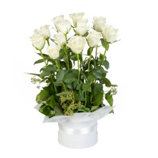 Rose Lover in White