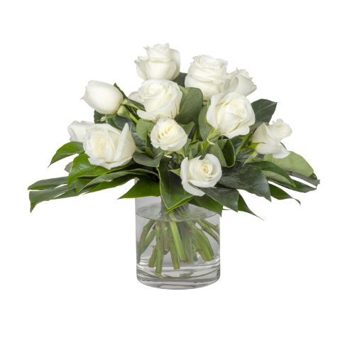 Eternal Roses in White