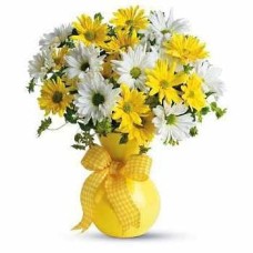 10 White and 10 Yellow Daisies (15 White and 15 Yellow Daisies)