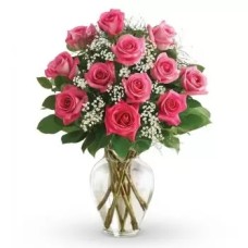 12 Pink Roses (Standard)
