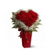 35 Red Carnations and White Babys Breath (Standard)