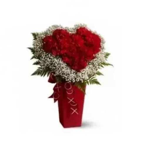 35 Red Carnations and White Babys Breath (Standard)