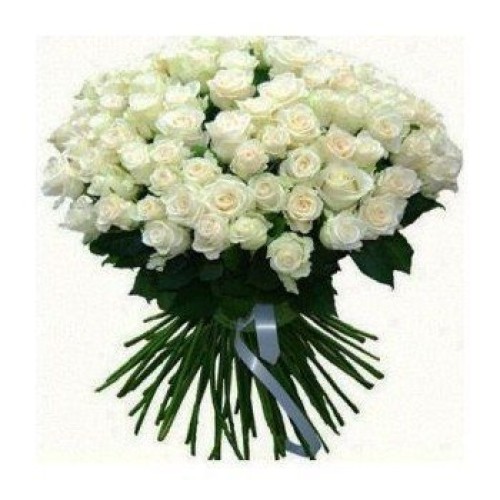 120 White Roses (Standard)