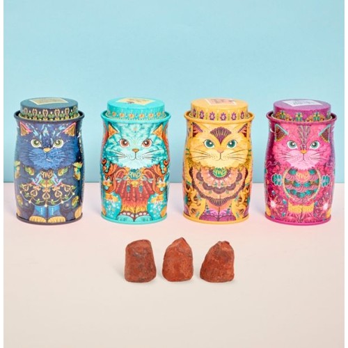 Monty Bojangles 4 Mini Kittens Gift Set