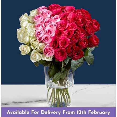 Luxury 50 Rose Ombre Bouquet