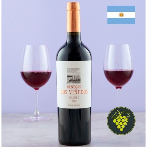 Benegas Dos Vinedos Malbec