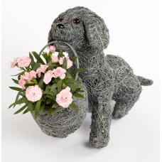 Dotty The Dog