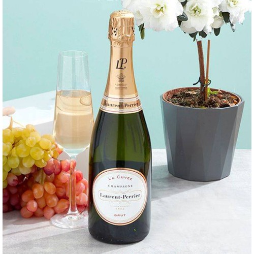 Laurent Perrier Champagne