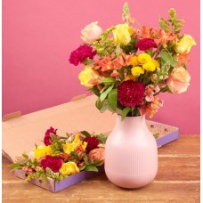 The Bright and Beautiful Letterbox
