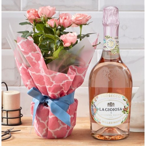 Gift Wrapped Pink Rose and Rose Prosecco Set