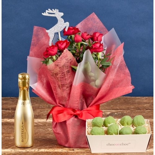 Red Rose, Fizz & Sprout Gift Set