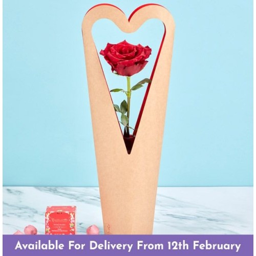 Red Panther Rose Gift Set