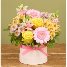 The Summer Hatbox