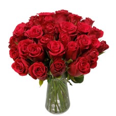 Red Velvet (30 Roses)
