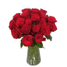 Red Velvet (20 Roses)