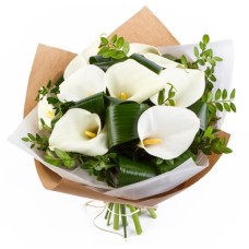 White Callas (Deluxe)
