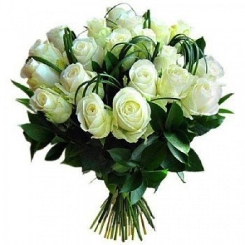 24 White Roses (Standard)