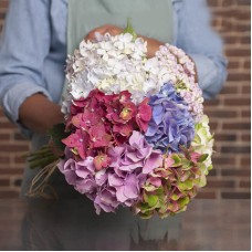 Hydrangea Bouquet (10 stems)