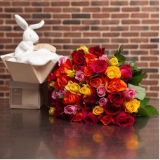 Harlequin And Cuddly Rabbit (30 roses)