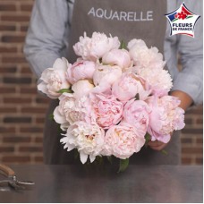 Marvellous Peonies (15 stems)