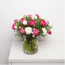 FIRST RANUNCULUS