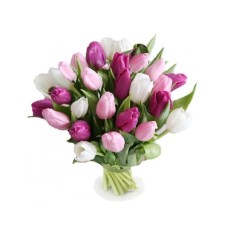 Pink Tulips (Small)